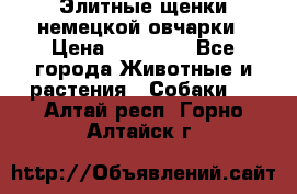 Элитные щенки немецкой овчарки › Цена ­ 30 000 - Все города Животные и растения » Собаки   . Алтай респ.,Горно-Алтайск г.